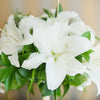 White Lilies